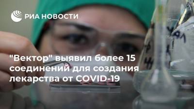 "Вектор" выявил более 15 соединений для создания лекарства от COVID-19 - ria.ru - Москва - Россия