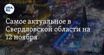 Владимир Якушев - Самое актуальное в Свердловской области на 12 ноября. Новый полпред проведет совещание, ледовый городок не будут строить, начались довыборы в гордуму - ura.news - Екатеринбург - Свердловская обл. - Ленинск