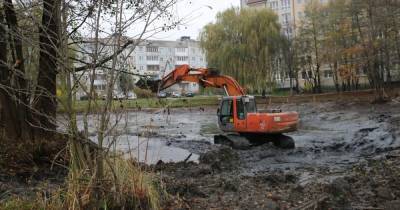 В Чкаловске обустроят новую зелёную зону и облагородят озеро - klops.ru - Калининград - Чкаловск