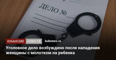 Артем Коноваленко - Уголовное дело возбуждено после нападения женщины с молотком на ребенка - kubnews.ru - Краснодар