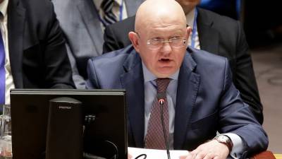 Алексей Навальный - Небензя рассказал о работе с ОЗХО по ситуации с Навальным - gazeta.ru - Россия - Омск