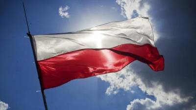 В Польше на Марше независимости 11 ноября пострадали 35 полицейских - piter.tv - Польша - Варшава