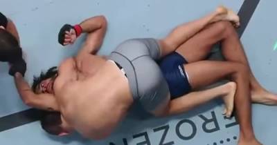 "Задушил" до потери сознания: израильский боец эффектно завоевал контракт с UFC - tsn.ua - Украина - Израиль