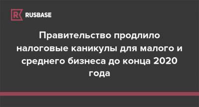 Правительство продлило налоговые каникулы для малого и среднего бизнеса до конца 2020 года - rb.ru - Россия