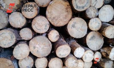 На Алтае сотрудник предприятия вырубил лес на 6,4 миллиона - fedpress.ru - Россия - Барнаул - респ. Алтай - район Тальменский