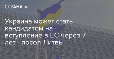 Андрюс Кубилюс - Украина может стать кандидатом на вступление в ЕС через 7 лет - посол Литвы - strana.ua - Украина - Литва - Посол
