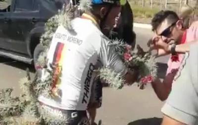 В Аргентине велосипедист поранился иглами кактуса - korrespondent.net - Аргентина - Буэнос-Айрес