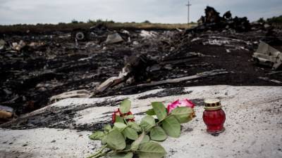 ГРУ координировало проект с фейками о крушении MH17 - svoboda.org - Россия - Украина - деревня Верффа