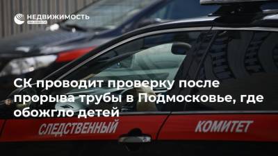 Ольга Врадий - СК проводит проверку после прорыва трубы в Подмосковье, где обожгло детей - realty.ria.ru - Москва - Московская обл.