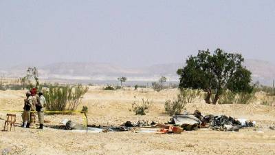 Семь миротворцев погибли при крушении вертолета над Синаем - tvc.ru - США - Израиль - Египет - Франция - Чехия - county Black Hawk