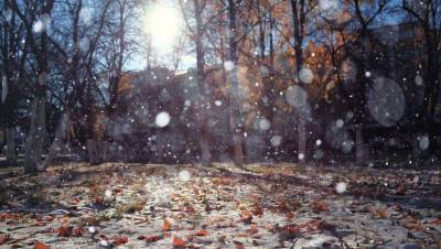 Прогноз погоды на 13 ноября: сильные дожди и снег пройдут на востоке и юго-востоке Казахстана - informburo.kz - Казахстан - Алма-Ата - Шымкент - Актау - Акмолинская обл.
