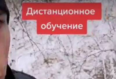 Небезопасный интернет: тиктокер залез на березу и пожаловался властям на связь - online47.ru - Омск