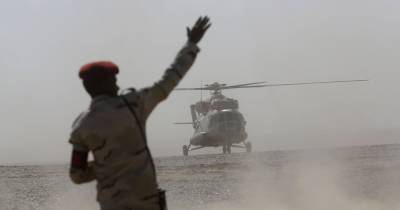 В Египте разбился военный вертолет — погибли семь миротворцев - tsn.ua - Израиль - Египет - Чехия - county Black Hawk