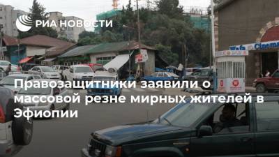 Правозащитники заявили о массовой резне мирных жителей в Эфиопии - ria.ru - Москва - Эфиопия