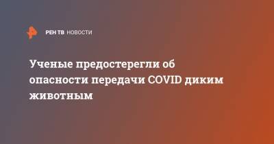 Ученые предостерегли об опасности передачи COVID диким животным - ren.tv - Сингапур - Республика Сингапур