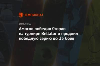 Ярослав Амосов - Амосов победил Сторли на турнире Bellator и продлил победную серию до 25 боёв - championat.com - США - Украина - Бразилия - штат Коннектикут