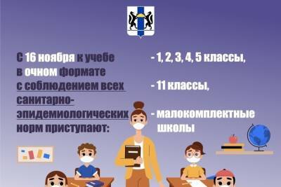 В Новосибирской области 40% школьников переведут на дистанционное обучение - novos.mk.ru - Новосибирская обл.