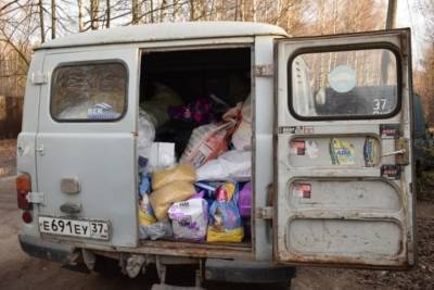 В Иванове оказали помощь приюту бездомных животных - mkivanovo.ru