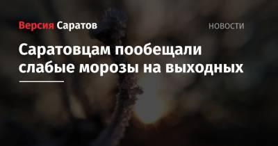 Светлана Цветайло - Саратовцам пообещали слабые морозы на выходных - nversia.ru - Саратовская обл.