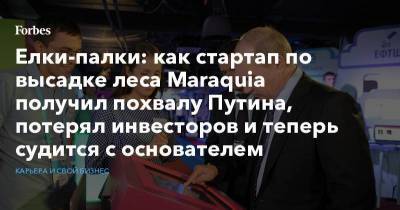 Владимир Путин - Елки-палки: как стартап по высадке леса Maraquia получил похвалу Путина, потерял инвесторов и теперь судится с основателем - smartmoney.one