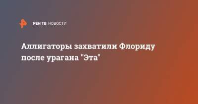 Аллигаторы захватили Флориду после урагана "Эта" - ren.tv - шт.Флорида - шт.Северная Каролина