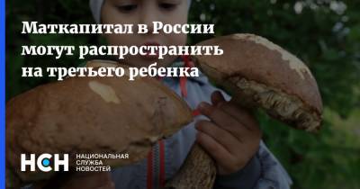 Маткапитал в России могут распространить на третьего ребенка - nsn.fm - Россия