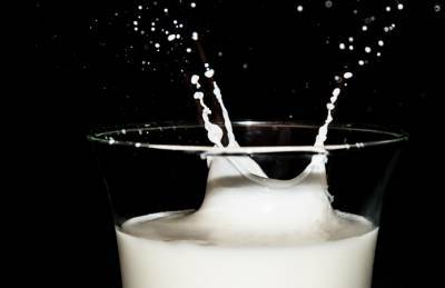 С 2021 года в Украине вводятся более жесткие требования к сортности молока - agroportal.ua - Украина