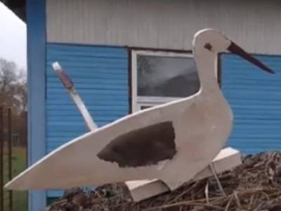 Скандал в детсаде: под Житомиром пожаловалась на воспитательницу-«садистку» - golos.ua - Житомирская обл. - Житомир