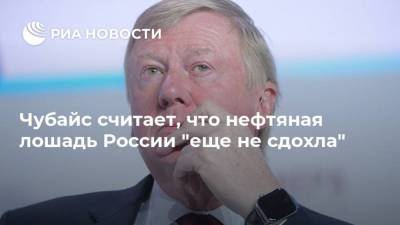 Анатолий Чубайс - Чубайс считает, что нефтяная лошадь России "еще не сдохла" - smartmoney.one - Россия