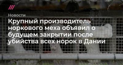 Крупный производитель норкового меха объявил о будущем закрытии после убийства всех норок в Дании - tvrain.ru - Дания