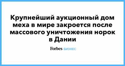 Крупнейший аукционный дом меха в мире закроется после массового уничтожения норок в Дании - forbes.ru - Дания