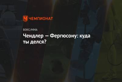 Хабиб Нурмагомедов - Дастин Порье - Конор Макгрегор - Тони Фергюсон - Майкл Чендлер - Джастин Гэтжи - Чендлер — Фергюсону: куда ты делся? - championat.com - Ирландия