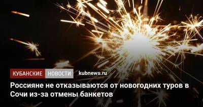 Россияне не отказываются от новогодних туров в Сочи из-за отмены банкетов - kubnews.ru - Россия - Сочи - Краснодарский край - Отели