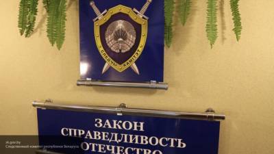 Аглая Чайковская - СК рассказал подробности смерти участника "ленточных боев" в Минске - politros.com - Белоруссия - Минск