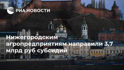 Глеб Никитин - Нижегородским агропредприятиям направили 3,7 млрд руб субсидий - smartmoney.one - Россия - Нижегородская обл.