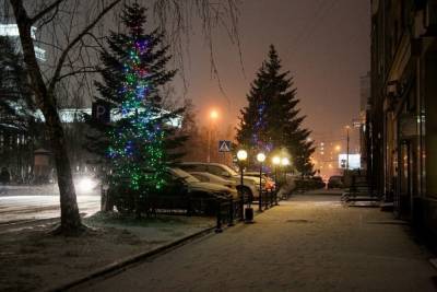 Морозы до -20 градусов придут в Новосибирск на неделе - novos.mk.ru - Новосибирск - Новосибирская обл.