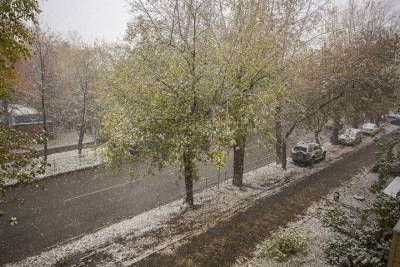 Треть месячной нормы снега выпала за день в Новосибирской области - novos.mk.ru - Казахстан - Новосибирская обл.