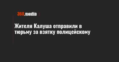 Жителя Калуша отправили в тюрьму за взятку полицейскому - 368.media - Ивано-Франковская обл. - Ивано-Франковск - Калуш