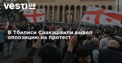 Михаил Саакашвили - Никанор Мелия - В Тбилиси Саакашвили вывел оппозицию на протест - vesti.ua - Грузия - Тбилиси
