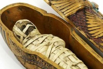 Найденным 400 лет назад мумиям провели компьютерную томографию - lenta.ua