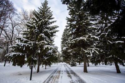Синоптики определили, когда пойдет снег в Новосибирске 15 ноября - novos.mk.ru - Новосибирск