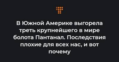 В Южной Америке выгорела треть крупнейшего в мире болота Пантанал. Последствия плохие для всех нас, и вот почему - hromadske.ua - Бразилия - Боливия - Парагвай