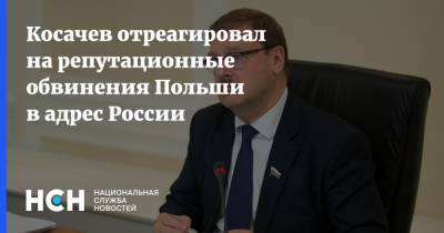 Константин Косачев - Косачев отреагировал на репутационные обвинения Польши в адрес России - nsn.fm - Россия - Польша