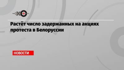 Роман Бондаренко - Растёт число задержанных на акциях протеста в Белоруссии - echo.msk.ru - Белоруссия - Минск