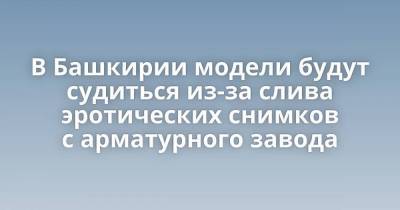 В Башкирии модели будут судиться из-за слива эротических снимков с арматурного завода - skuke.net - Башкирия - Интересно