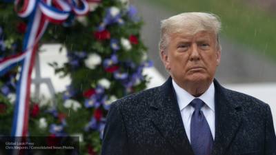 Дональд Трамп - Трамп объявил о намерении подать "крупные иски" о нарушениях на выборах - polit.info - США