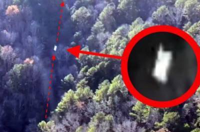 Скотт Уоринг - В США беспилотник заснял НЛО, вылетающий из леса. ВИДЕО - from-ua.com - США - Украина - штат Миссури