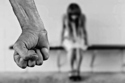 В Кабардино-Балкарии будут судить насильника 11-летней племянницы - kavkaz.mk.ru - Нальчик - респ. Кабардино-Балкария