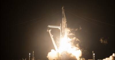 Crew Dragon - SpaceX запустила корабль Crew Dragon с четырьмя астронавтами на борту - focus.ua - шт.Флорида