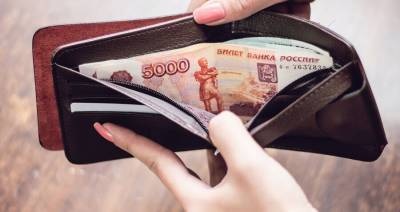 Более половины россиян хотят получать зарплату каждый день – исследование - m24.ru - Москва